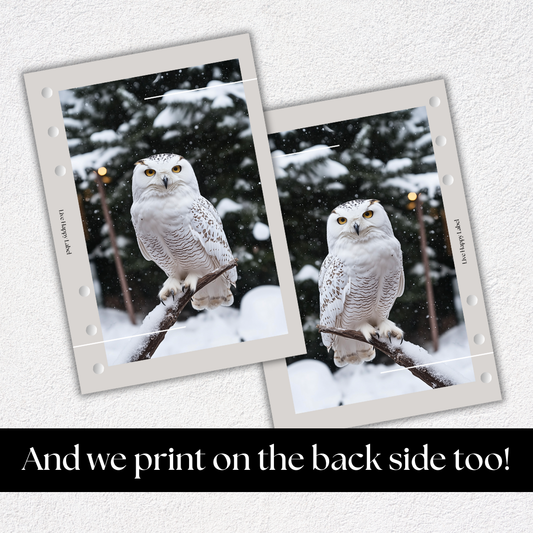 "Winter Guardian" Dashboard & Cover | A5, 6-Ring Punch