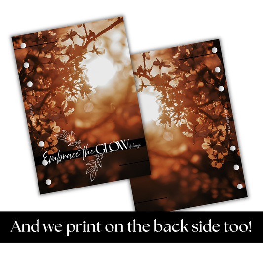 "Embrace the Glow" Dashboard & Cover