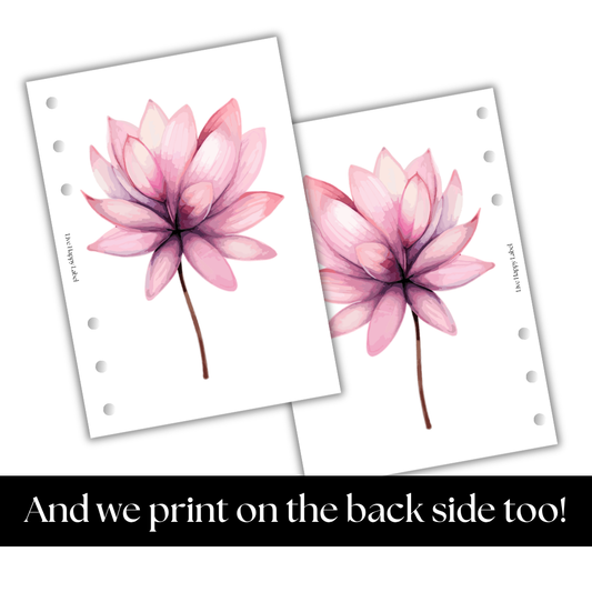 Florals #002 Dashboard & Cover