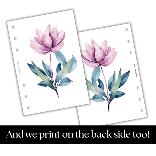 Florals #003 Dashboard & Cover