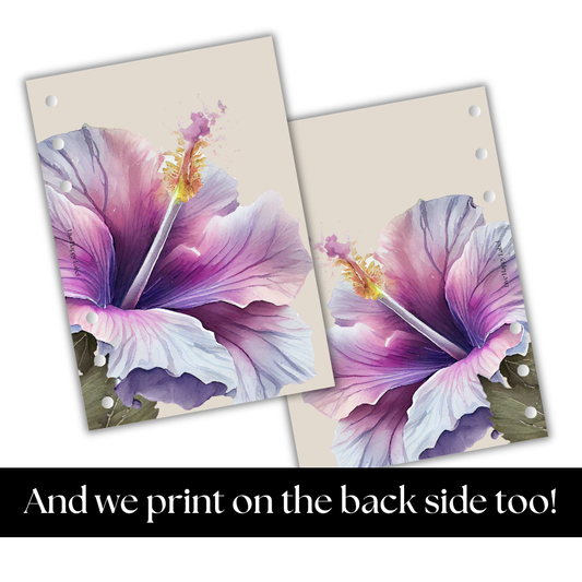 "Island Blooms" 004 Dashboard & Cover