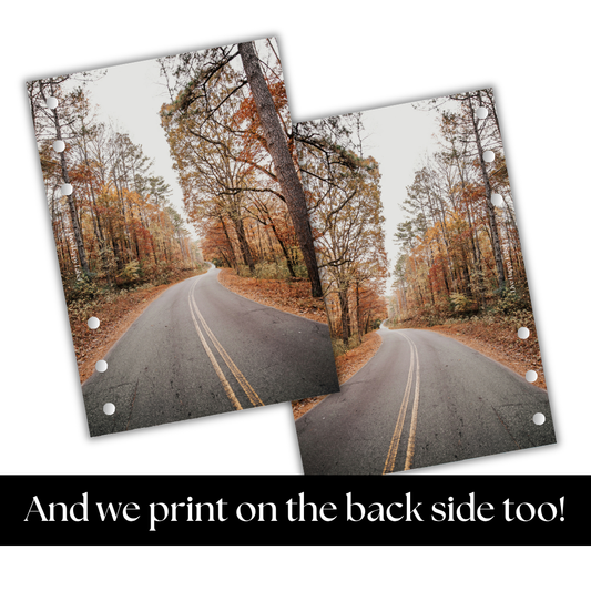 "Road Less Traveled" Dashboard & Cover