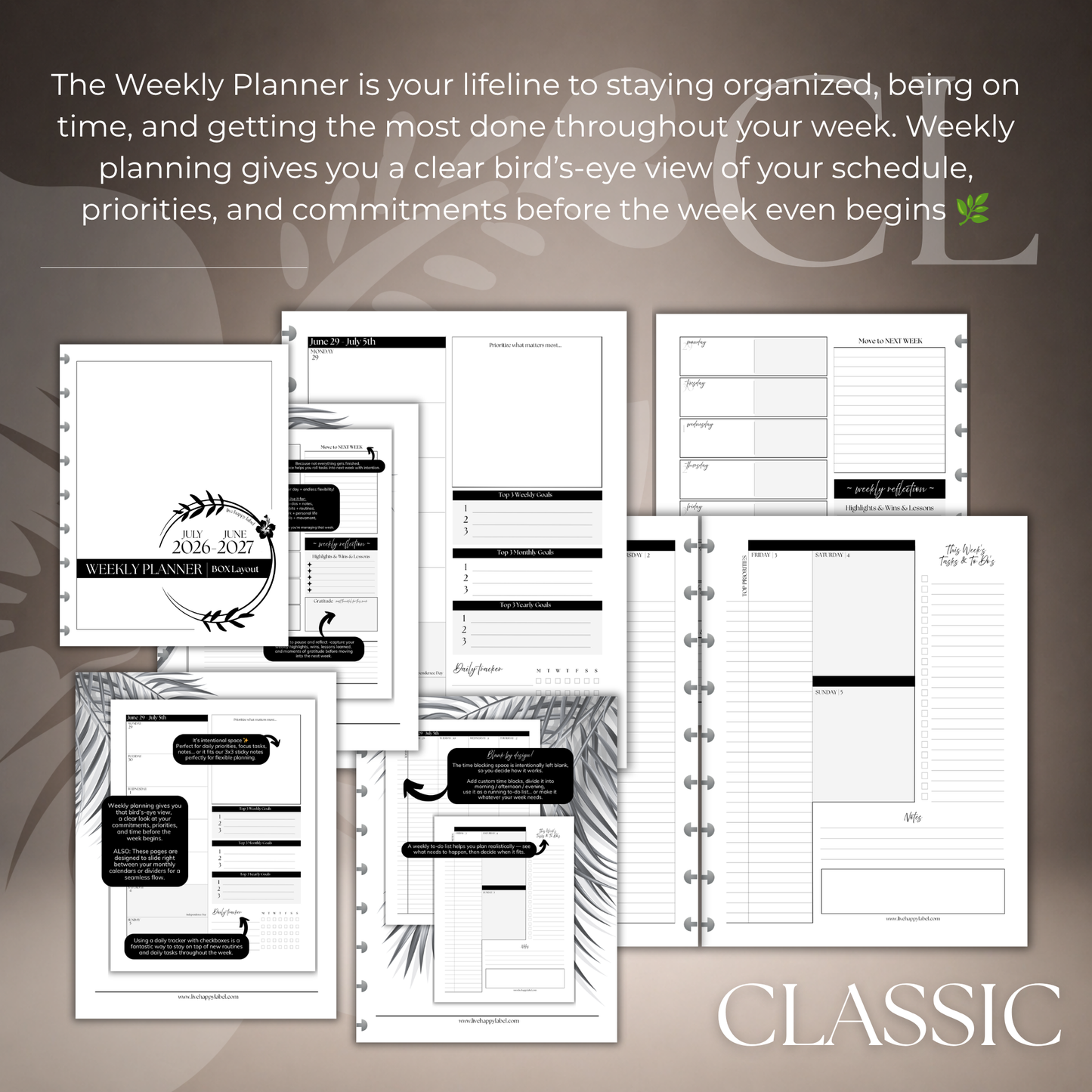 2026-2027 "BOX" Layout Weekly Planner WO4P | Classic 9-Hole Discbound