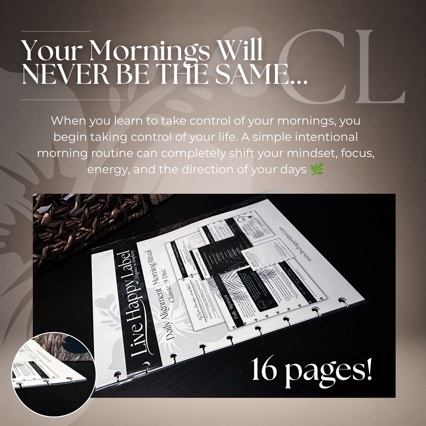 Daily Alignment ~ Morning Routine | Classic 9-Hole Discbound