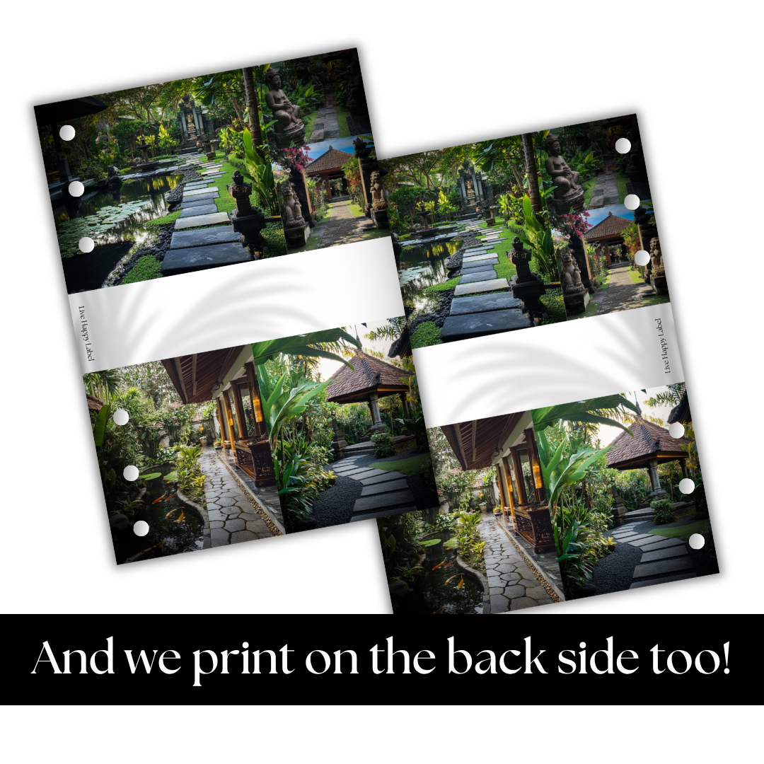 "Bali Gardens" Dashboard & Cover