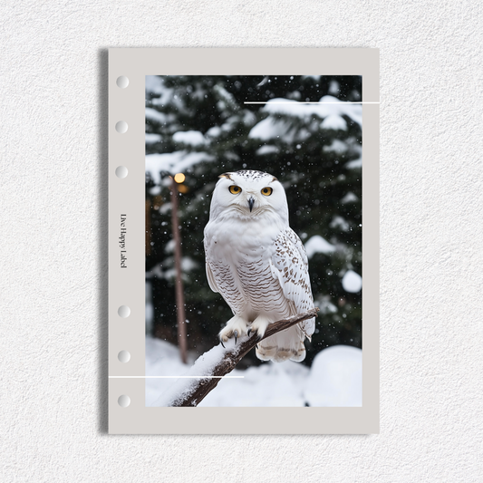 "Winter Guardian" Dashboard & Cover | A5, 6-Ring Punch