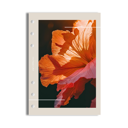 "Ella" Dashboard & Cover
