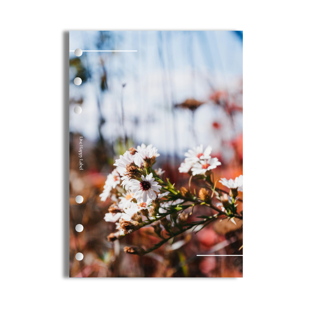 "Flora" Dashboard & Cover