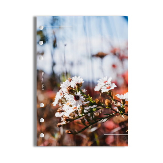 "Flora" Dashboard & Cover