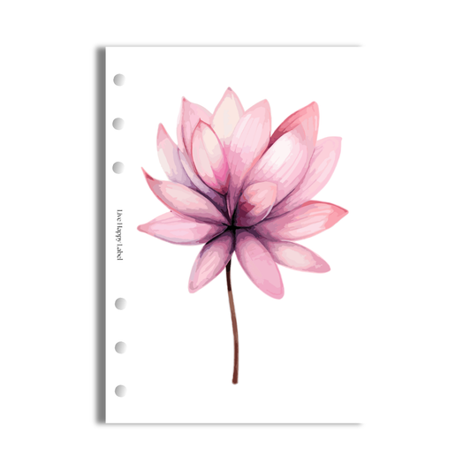 Florals #002 Dashboard & Cover