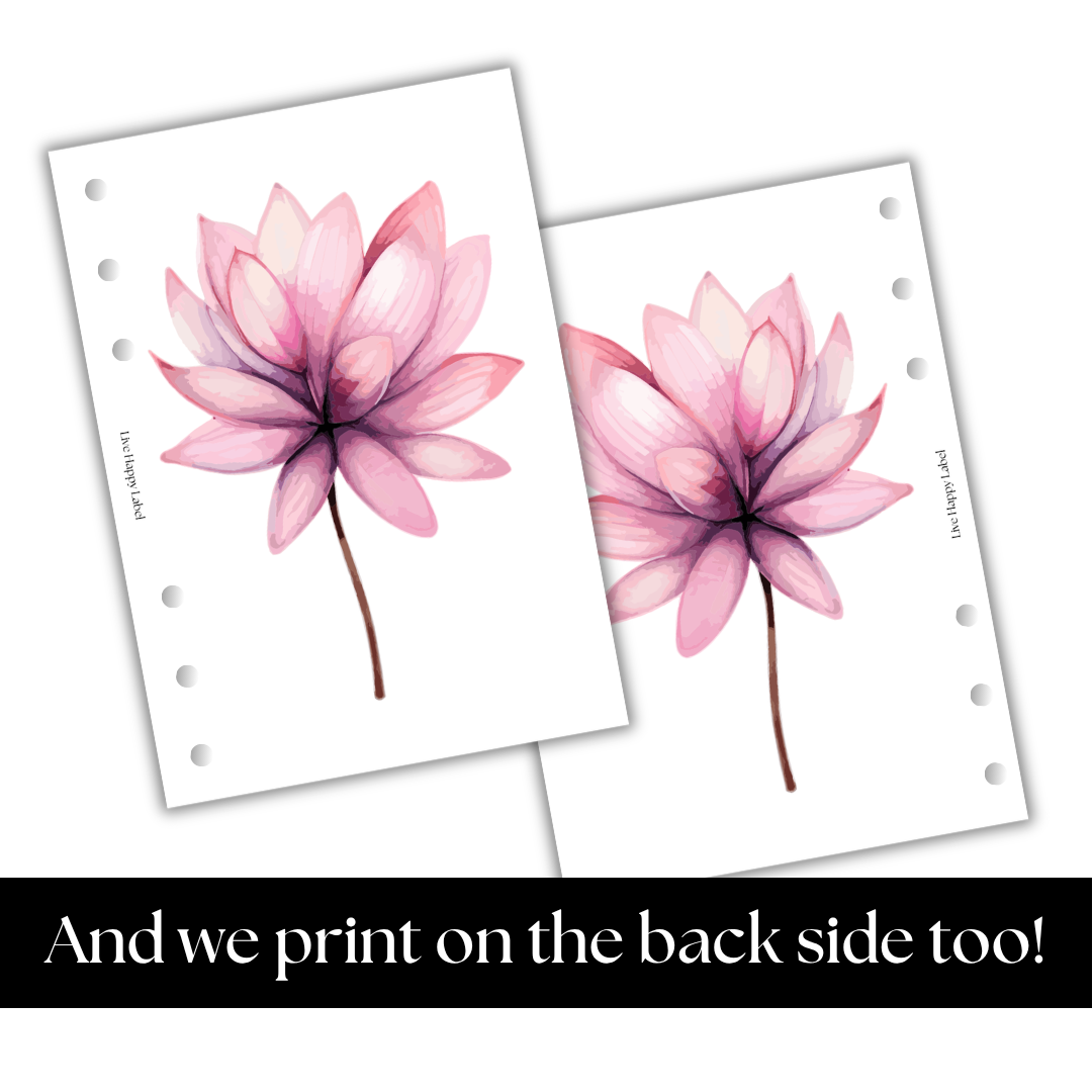 Florals #002 Dashboard & Cover