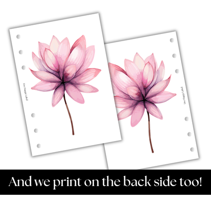 Florals #002 Dashboard & Cover