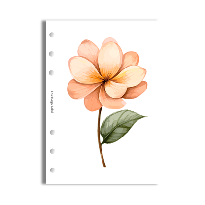 Florals #004 Dashboard & Cover