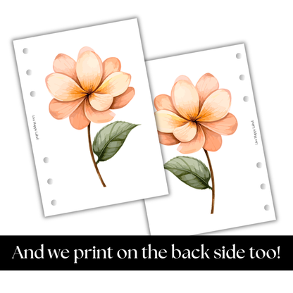 Florals #004 Dashboard & Cover