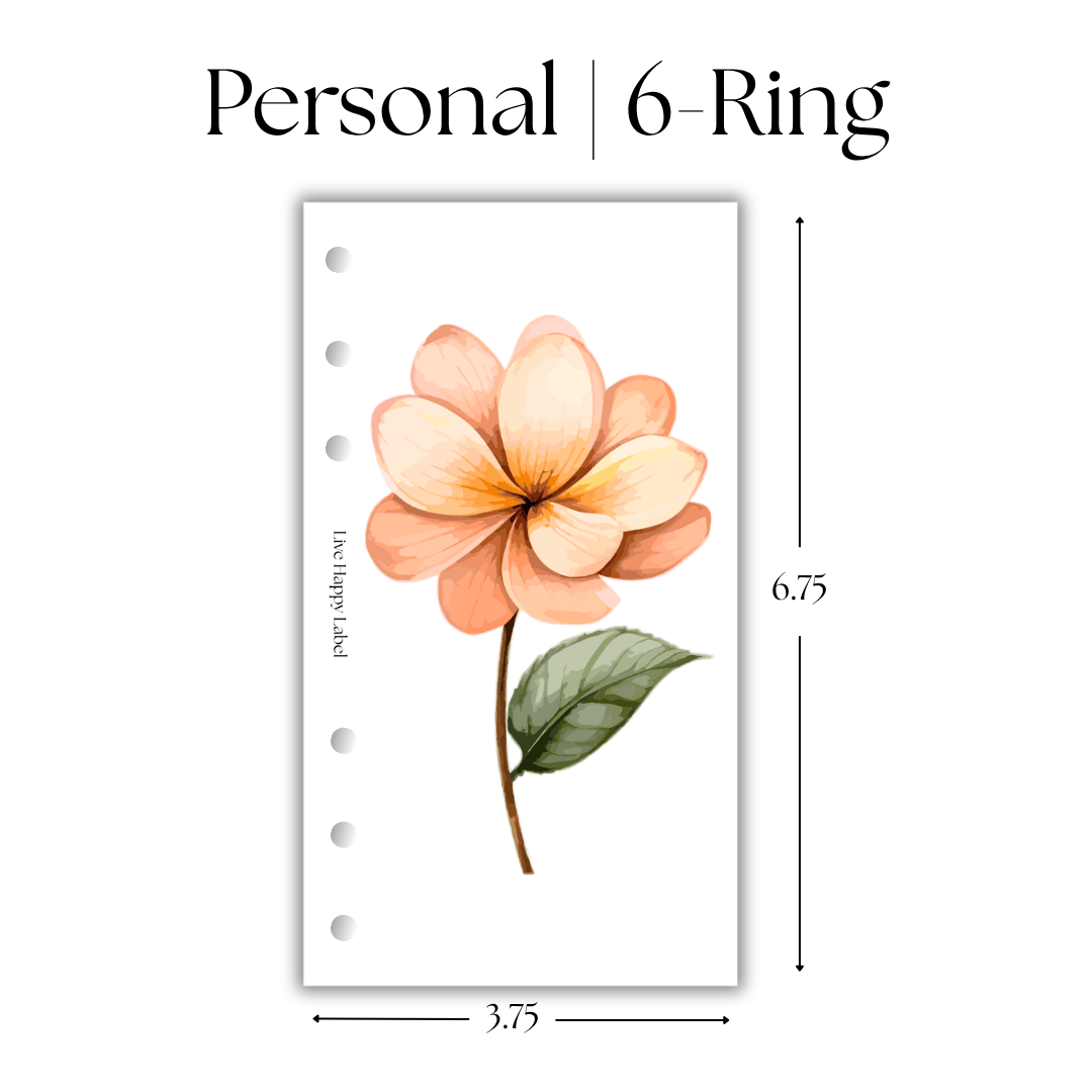 Florals #004 Dashboard & Cover