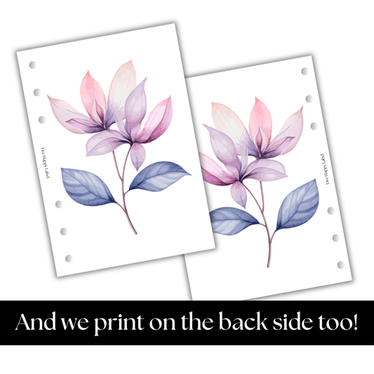 Florals #005 Dashboard & Cover