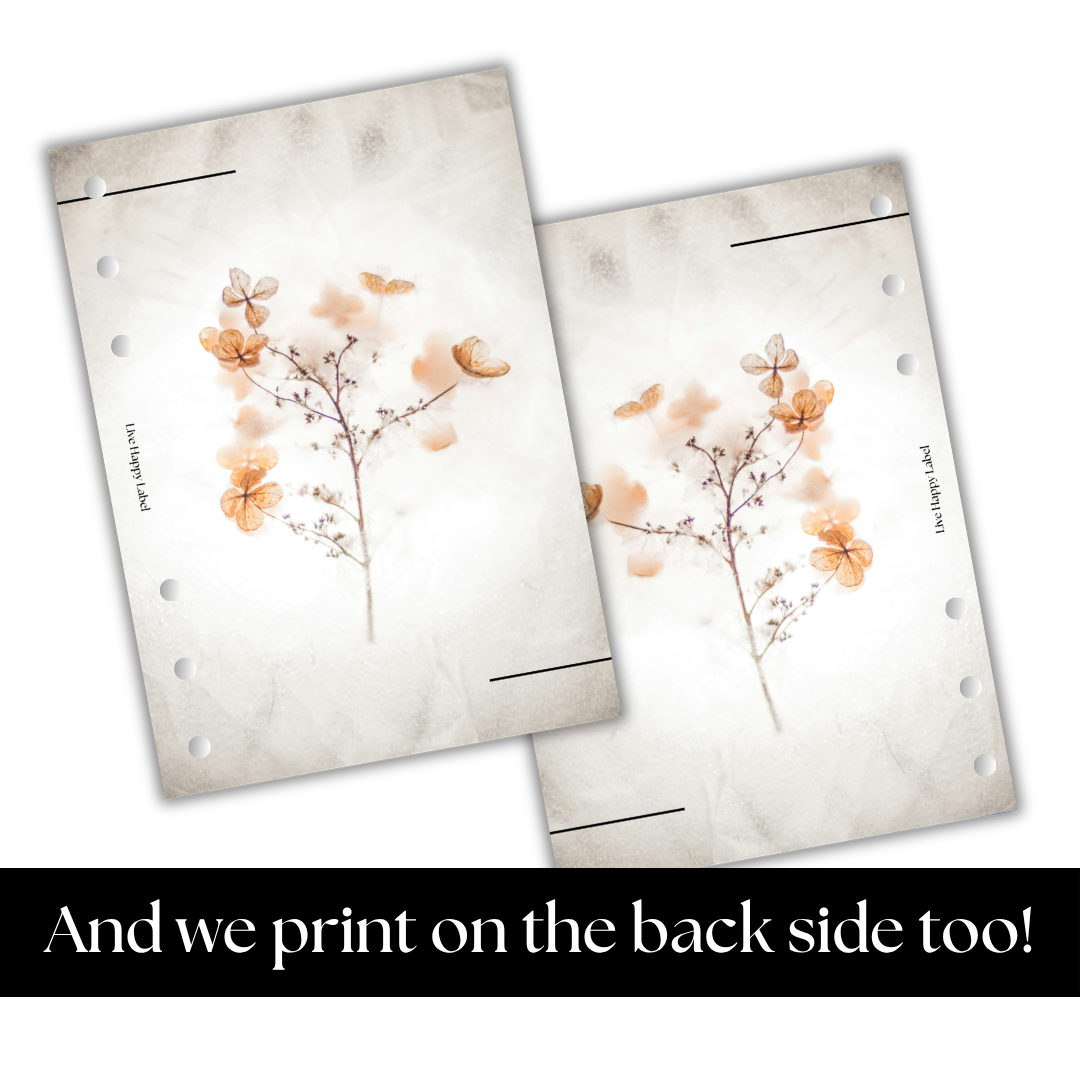 "Harvest Blooms" Dashboard & Cover
