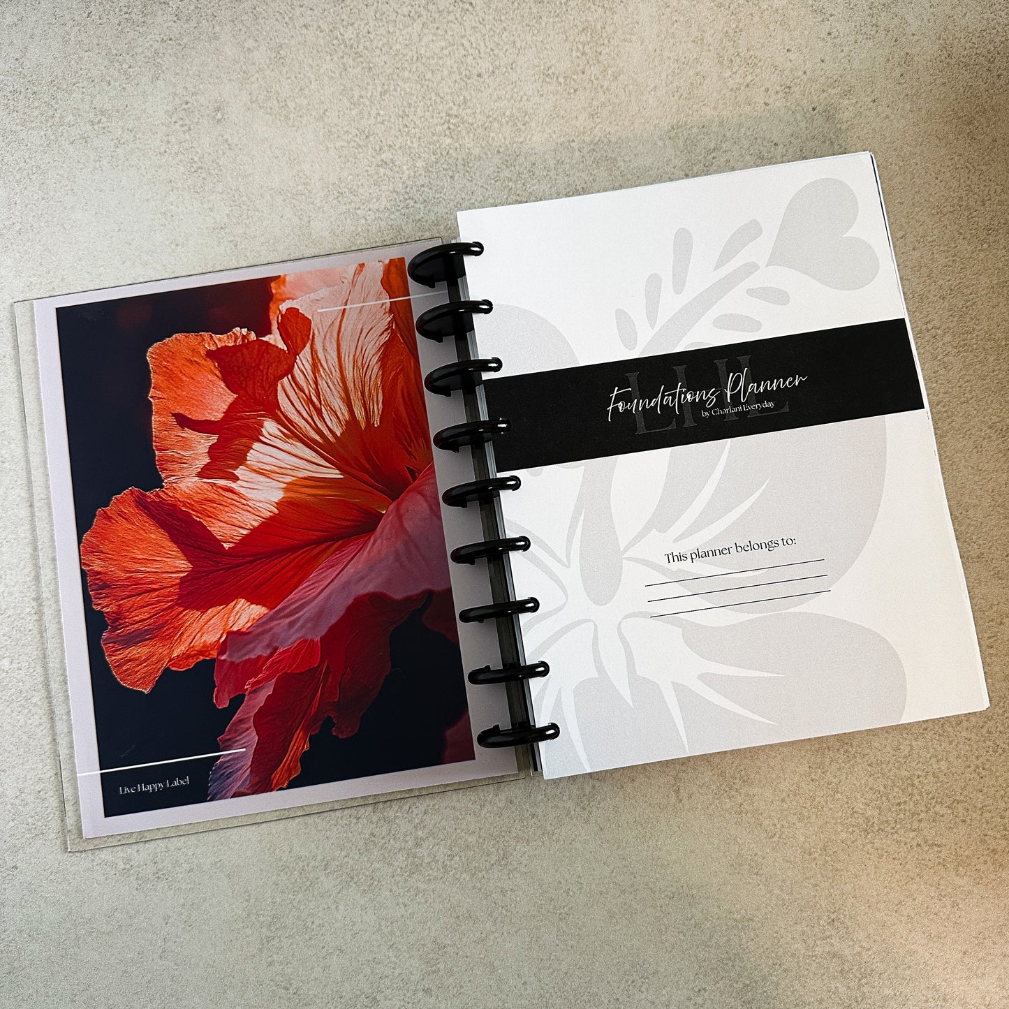 Undated Foundations Planner | Classic Discbound