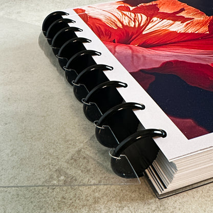 Undated Foundations Planner | Classic Discbound