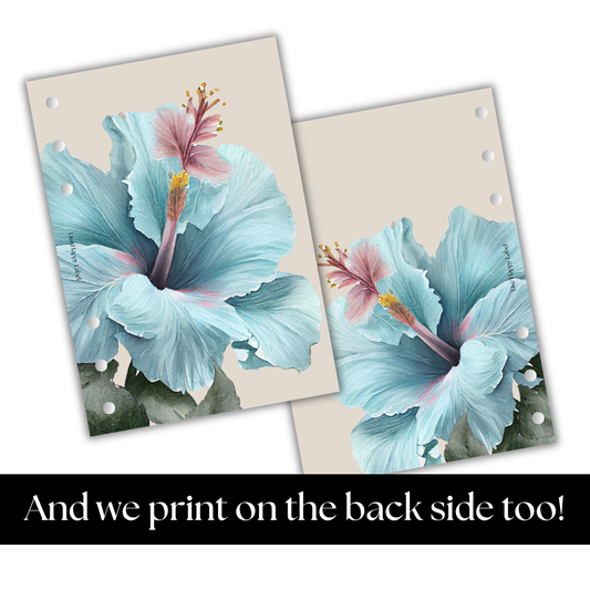 "Island Blooms" 002 Dashboard & Cover