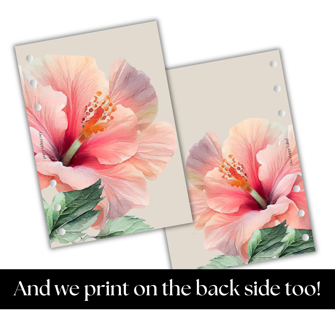 "Island Blooms" 003 Dashboard & Cover