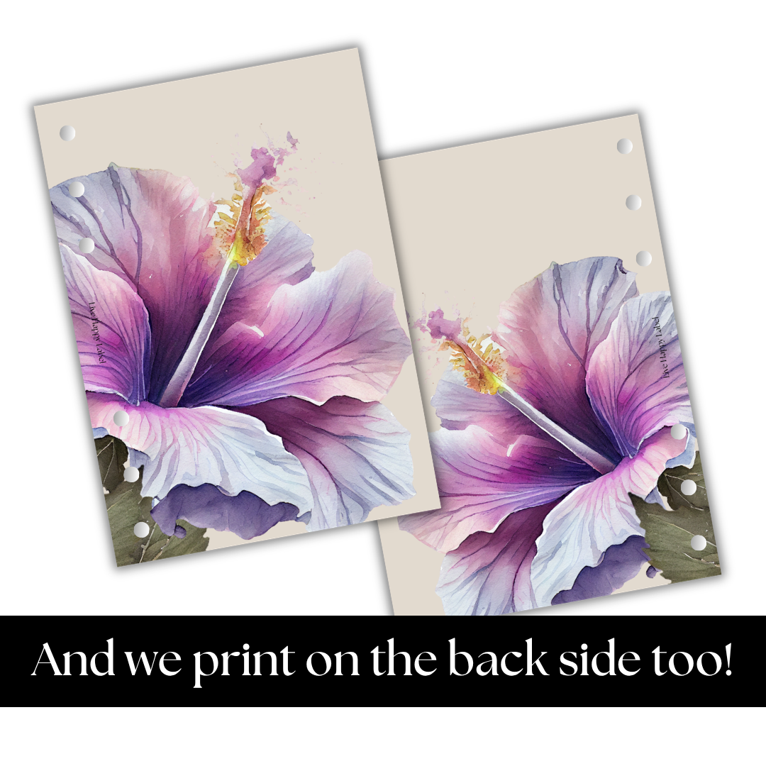 "Island Blooms" 004 Dashboard & Cover