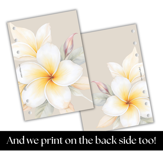 "Island Blooms" 005 Dashboard & Cover