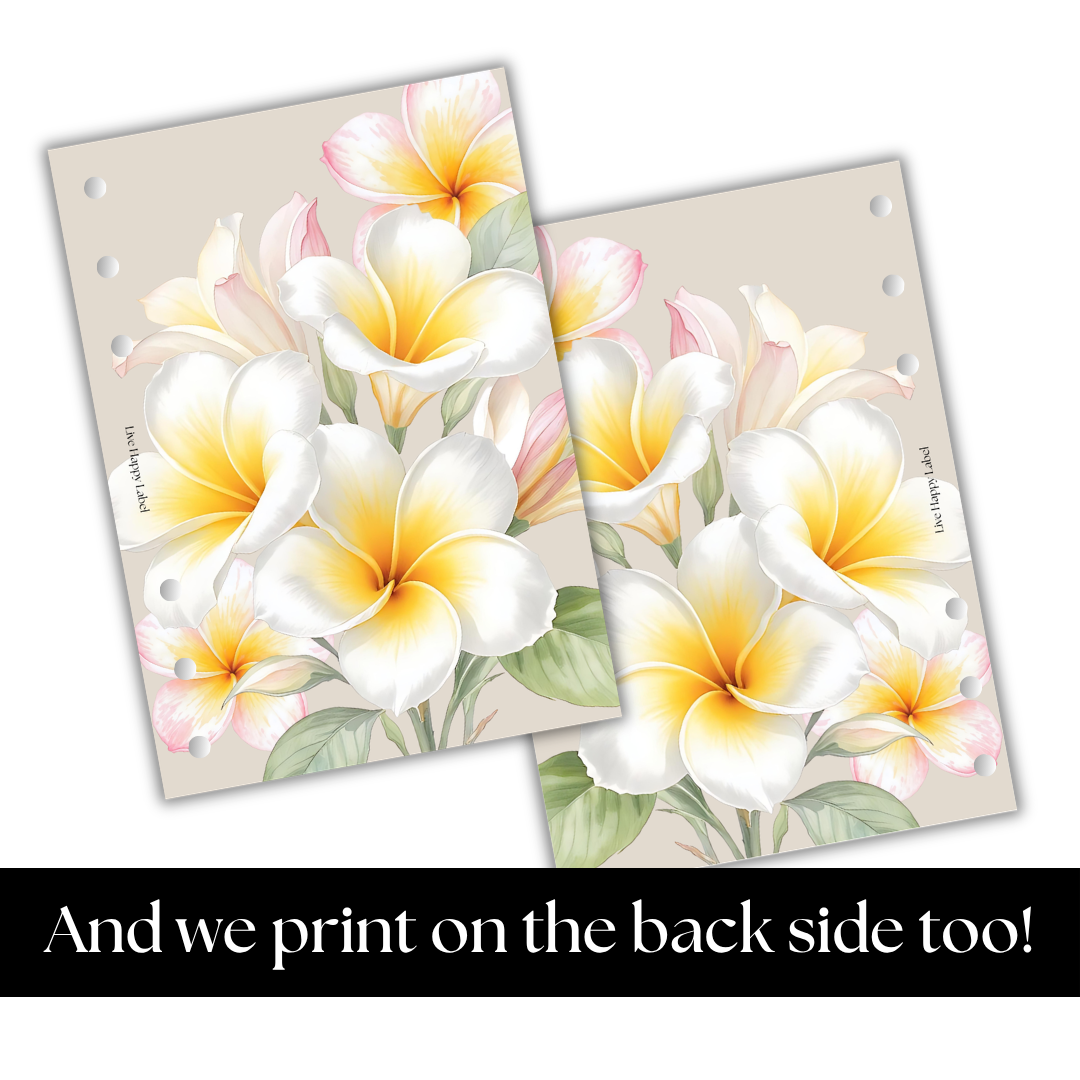 "Island Blooms" 007 Dashboard & Cover