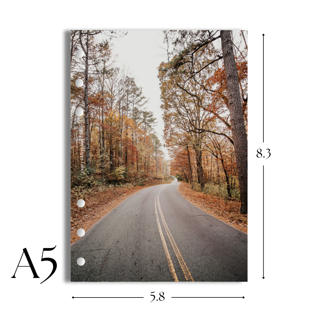 "Road Less Traveled" Dashboard & Cover