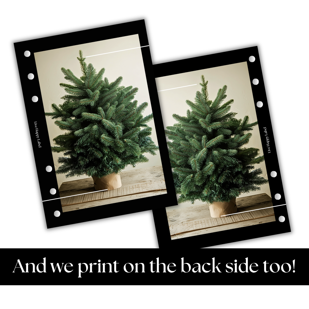 "Simple Evergreen" Dashboard & Cover