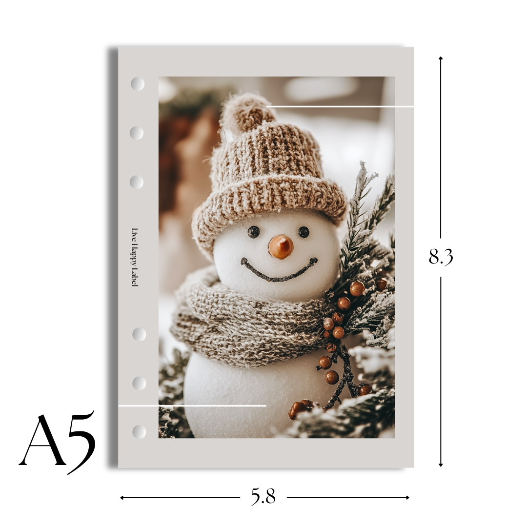 "Snowday Friend" Dashboard & Cover
