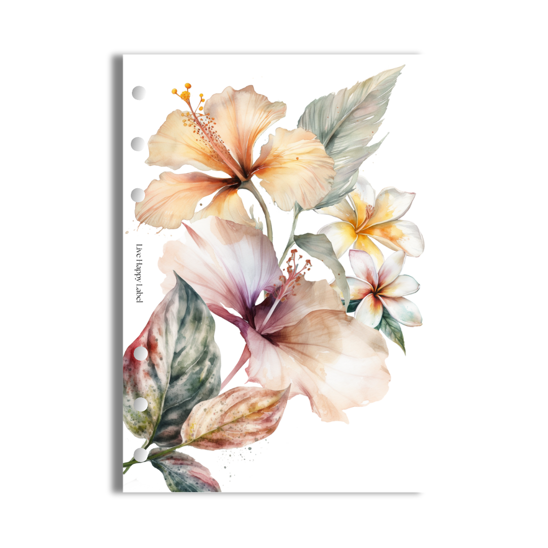 "Tropical Haze #001" V2 Dashboard & Cover