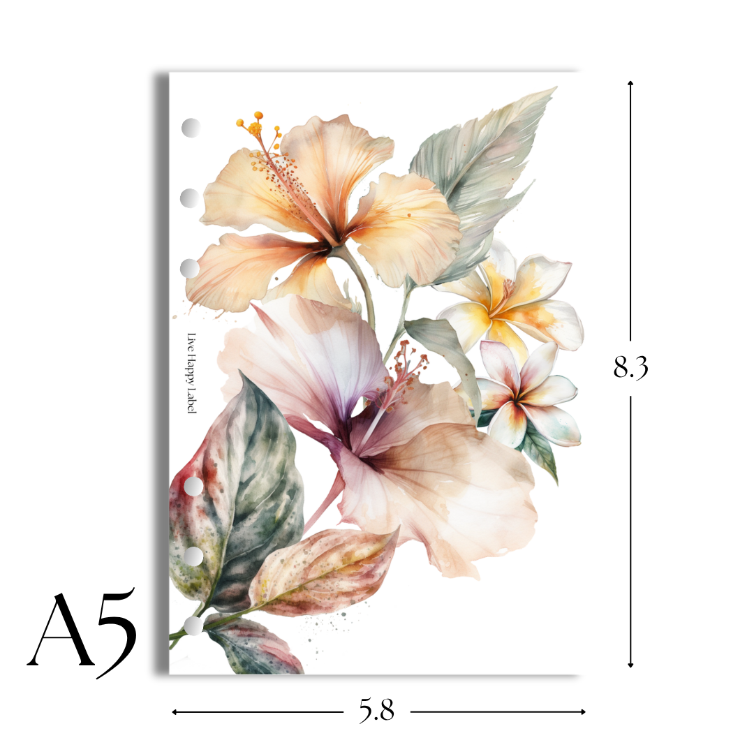 "Tropical Haze #001" V2 Dashboard & Cover
