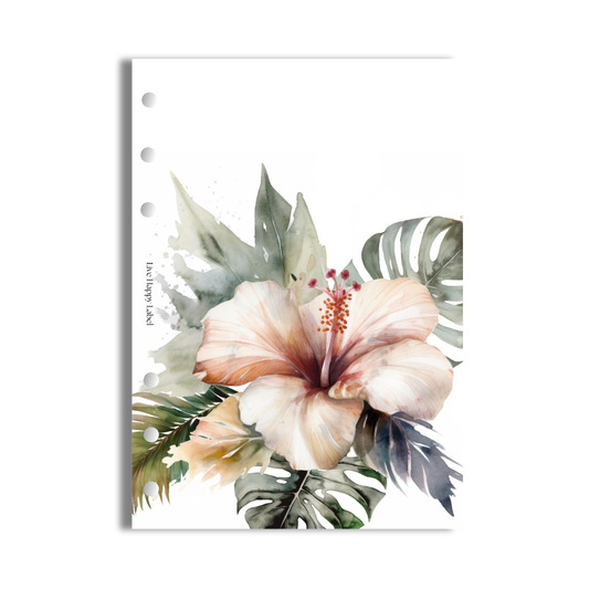 "Tropical Haze #003" V2 Dashboard & Cover