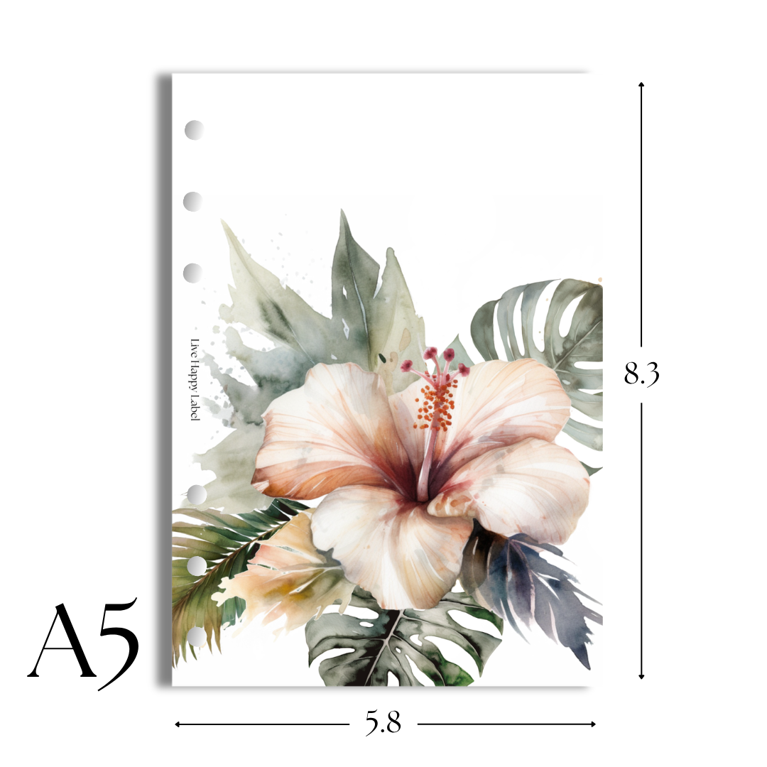 "Tropical Haze #003" V2 Dashboard & Cover