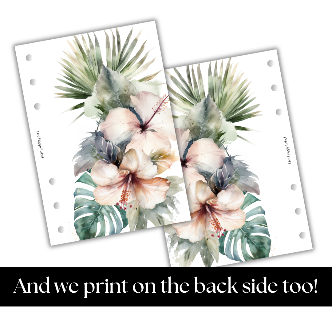 "Tropical Haze #004" V2 Dashboard & Cover