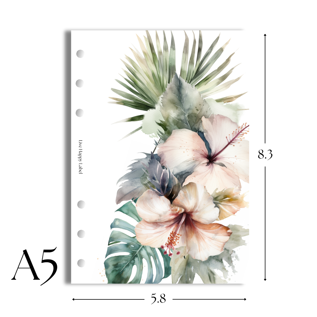 "Tropical Haze #004" V2 Dashboard & Cover