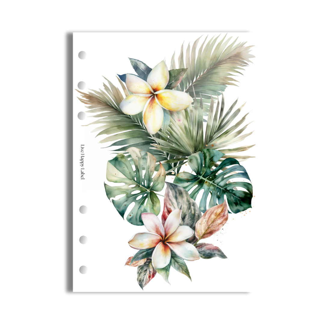 "Tropical Haze #005" V2 Dashboard & Cover