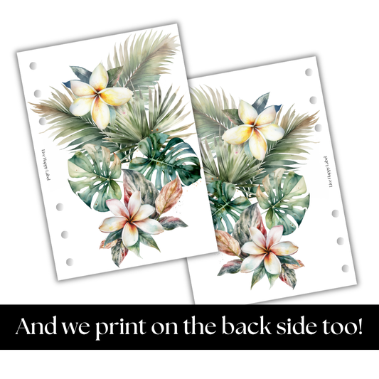 "Tropical Haze #005" V2 Dashboard & Cover