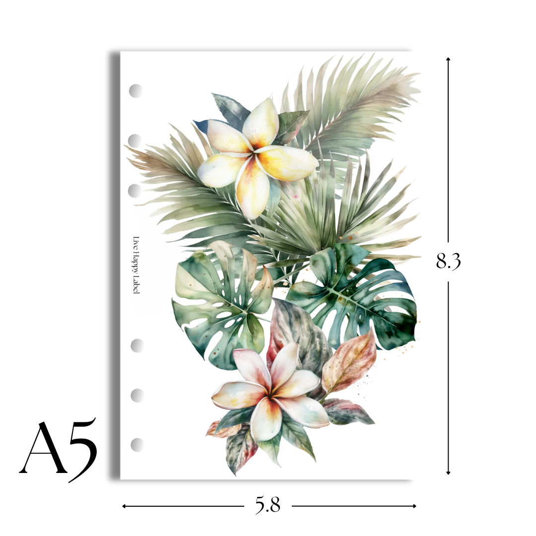 "Tropical Haze #005" V2 Dashboard & Cover