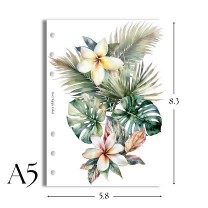 "Tropical Haze #005" V2 Dashboard & Cover