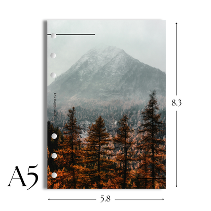 "Twilight Pines" Dashboard & Cover
