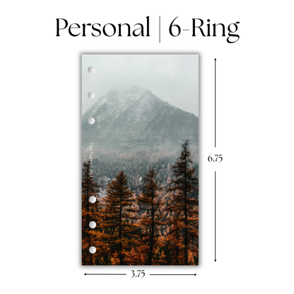 "Twilight Pines" Dashboard & Cover