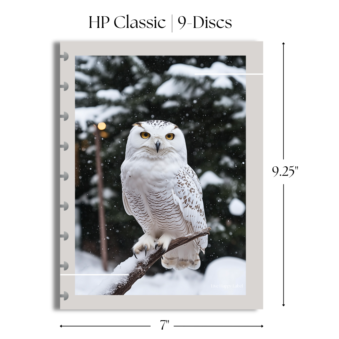 "Winter Guardian" Dashboard & Cover