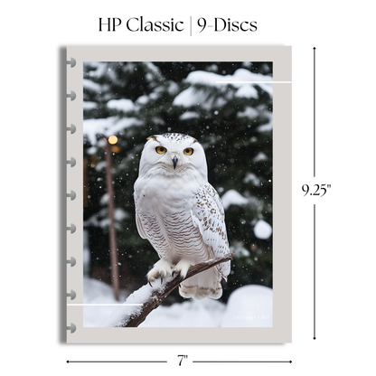 "Winter Guardian" Dashboard & Cover