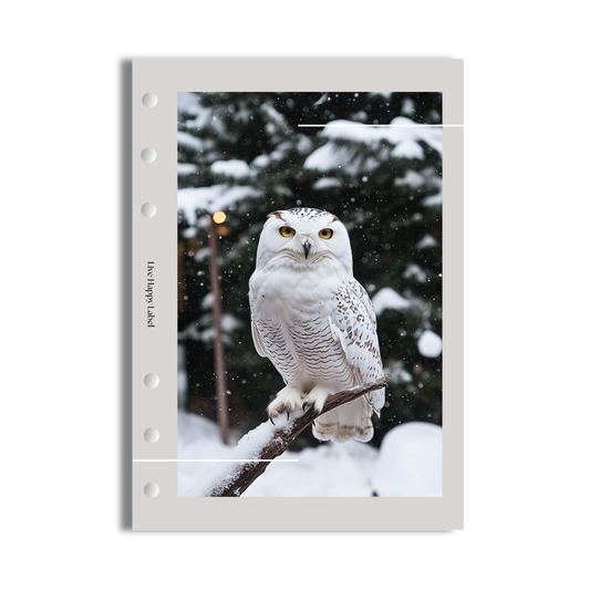 "Winter Guardian" Dashboard & Cover