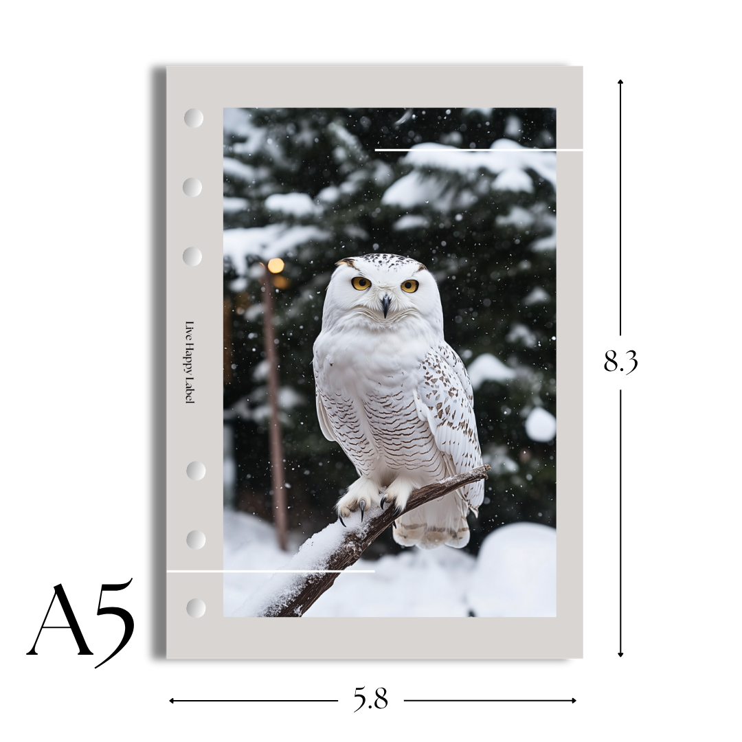 "Winter Guardian" Dashboard & Cover
