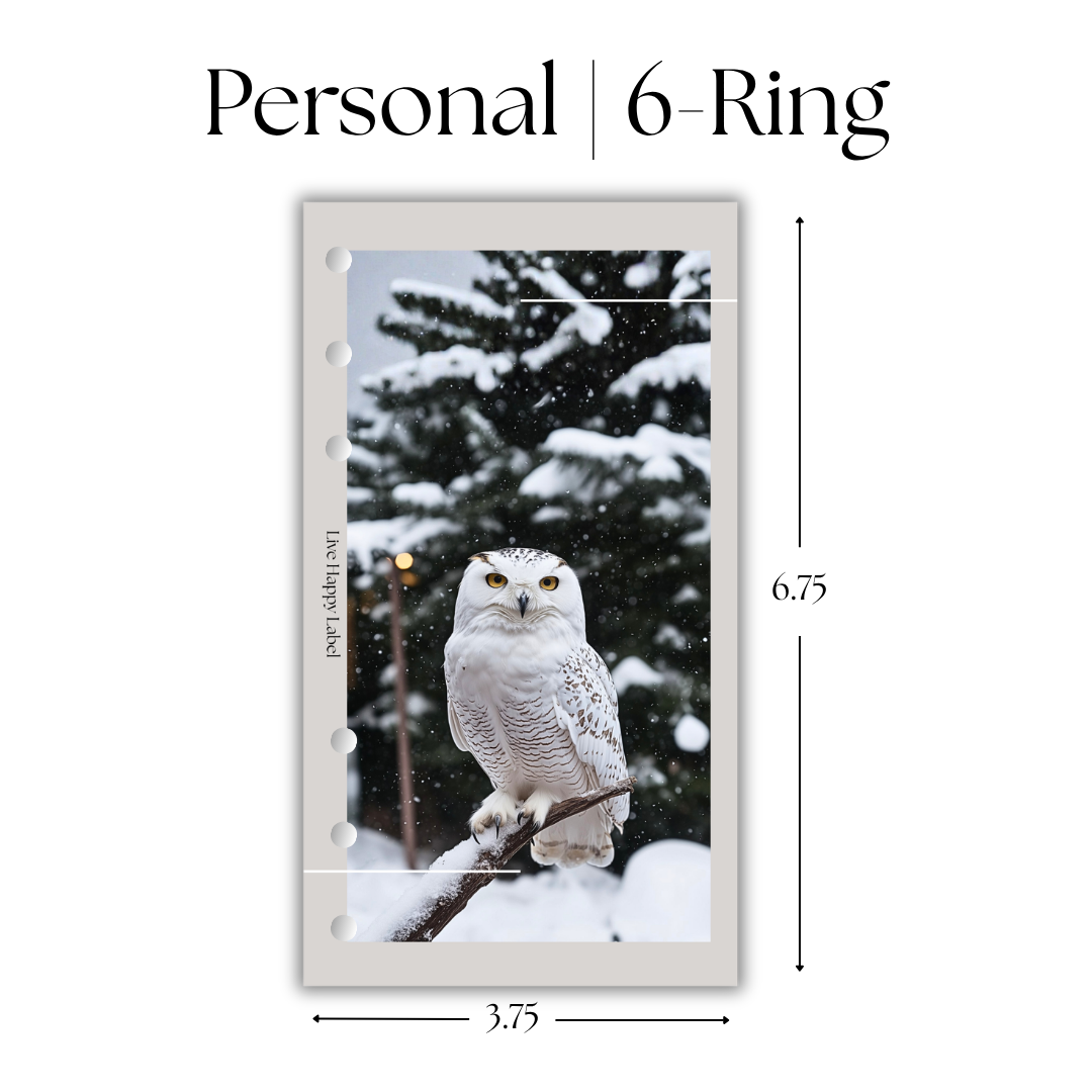 "Winter Guardian" Dashboard & Cover