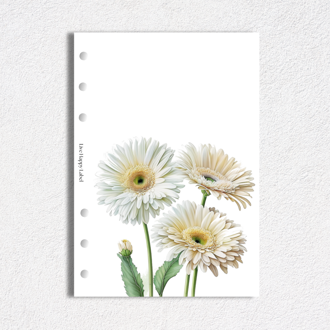 Daisyland Dashboards & Covers | Set of 5 | A5, 6-Ring Punch