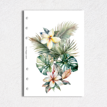 Tropical Haze Dashboards & Covers | Set of 5 | A5, 6-Ring Punch